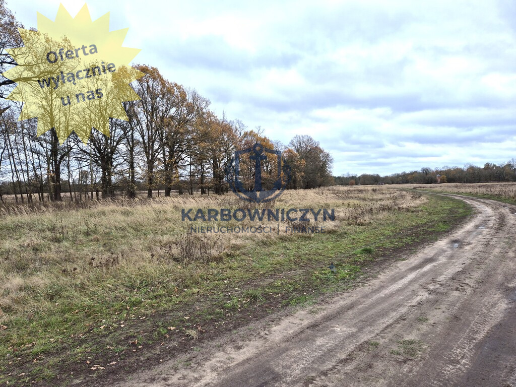 Działka Sprzedaż Łęgi 1