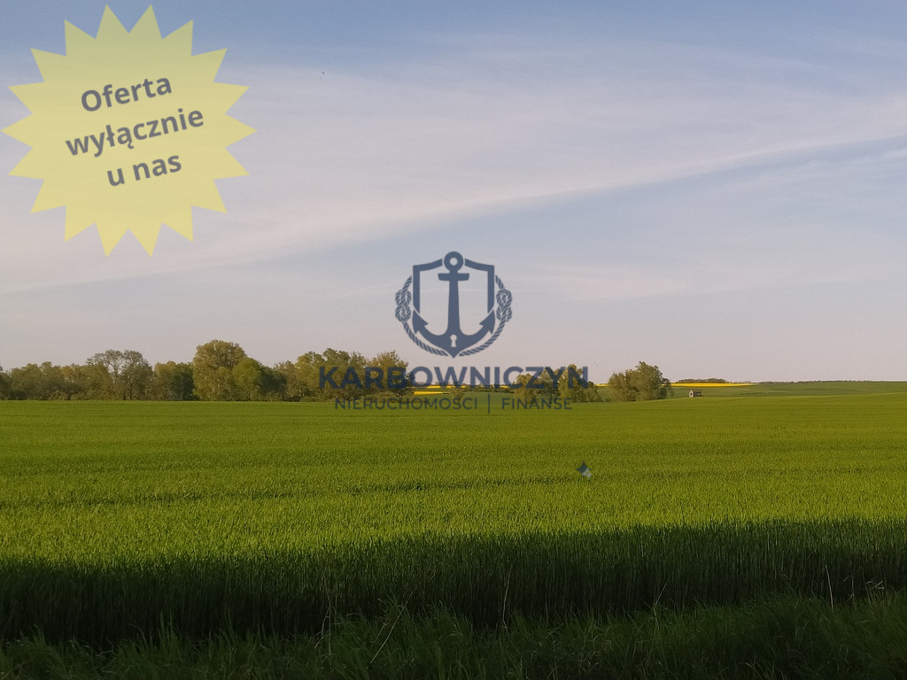 Działka Sprzedaż Recz 1