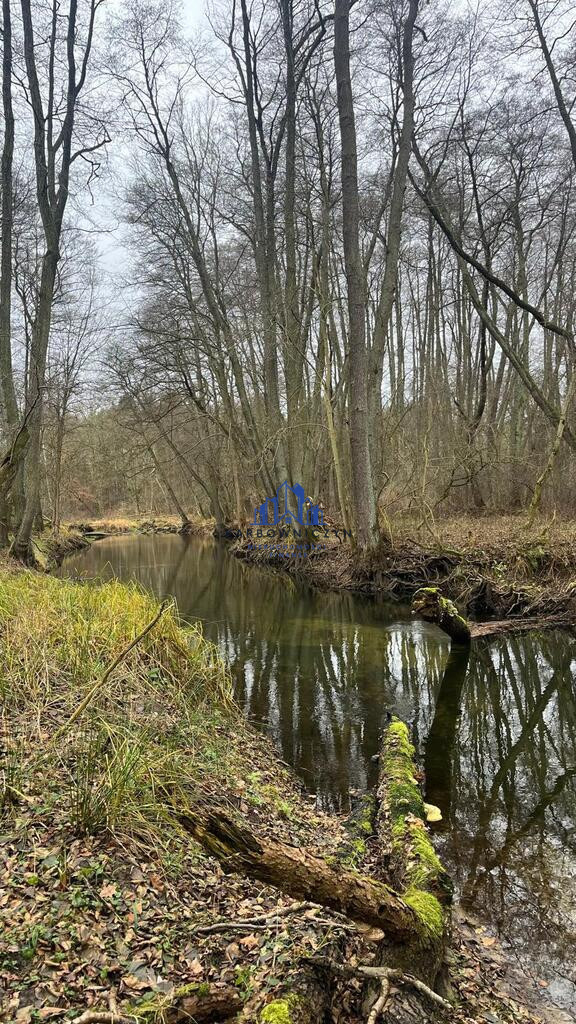 Działka Sprzedaż Szczecin Płonia 6