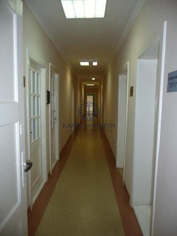 Lokal Wynajem Szczecin Centrum 8