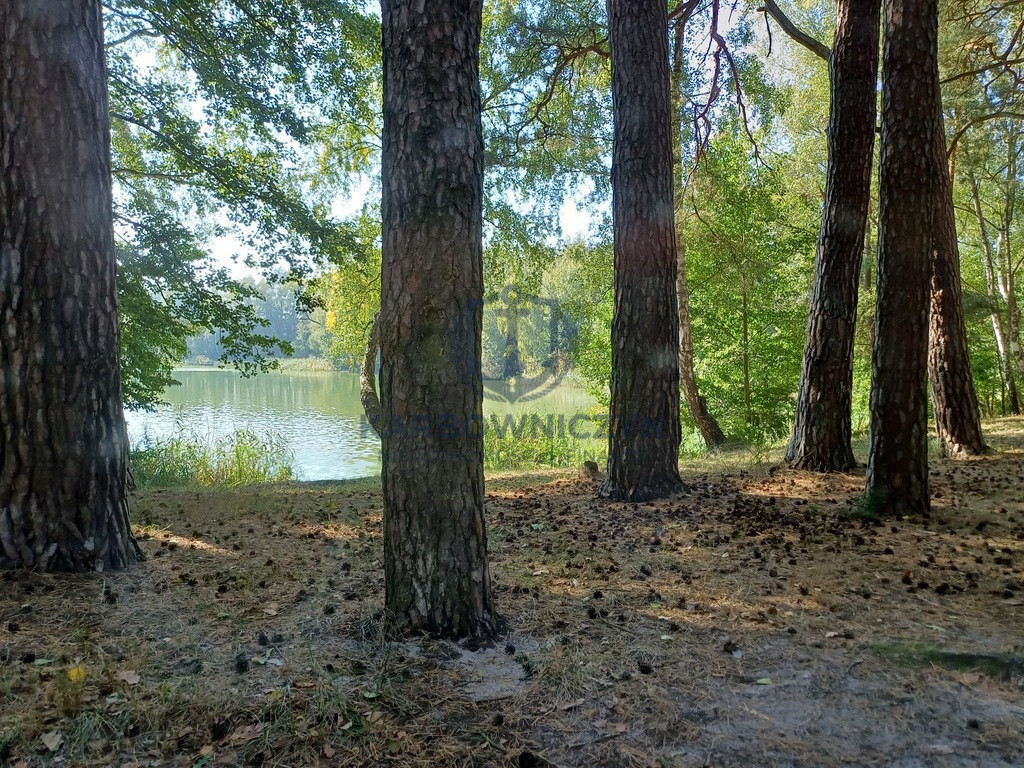 Działka Sprzedaż Bartoszewo