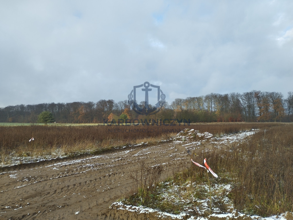 Działka Sprzedaż Dobropole Gryfińskie 3