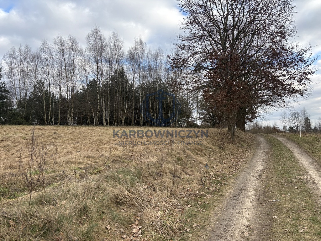 Działka Sprzedaż Kikorze 9