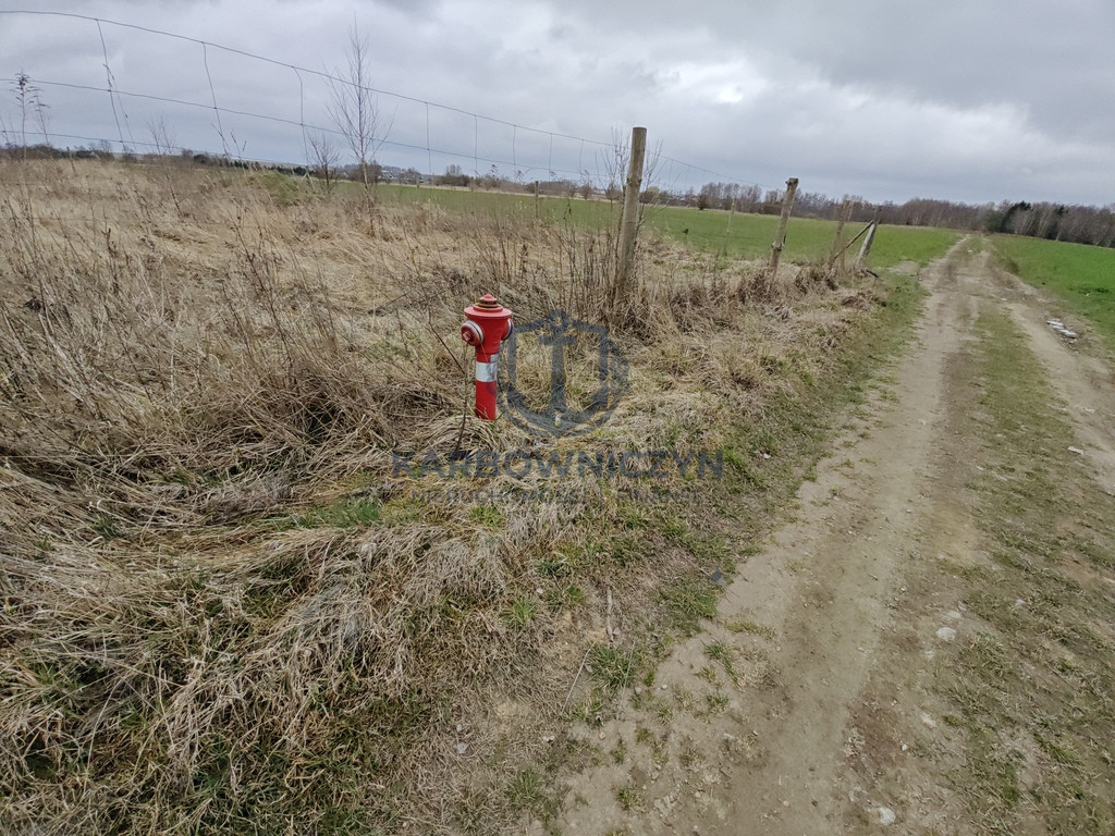 Działka Sprzedaż Wąwelnica