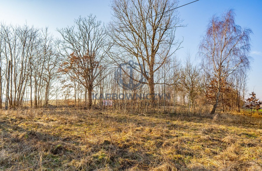Działka Sprzedaż Ścienne