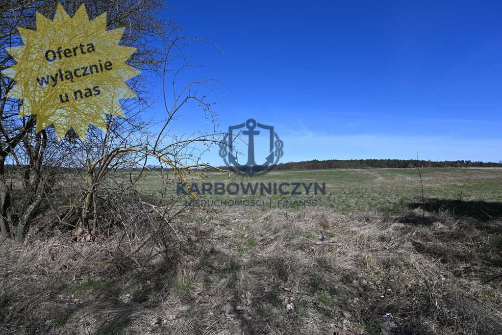 Działka Sprzedaż Buk 1