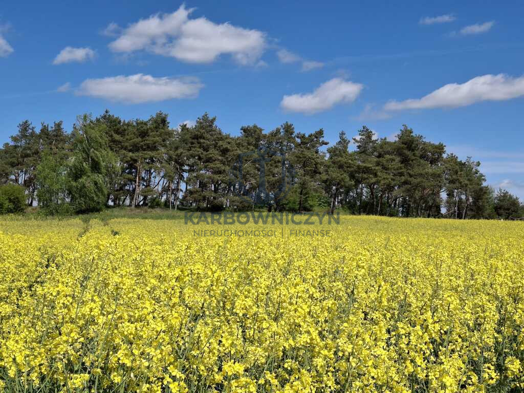 Działka Sprzedaż Parsów 1