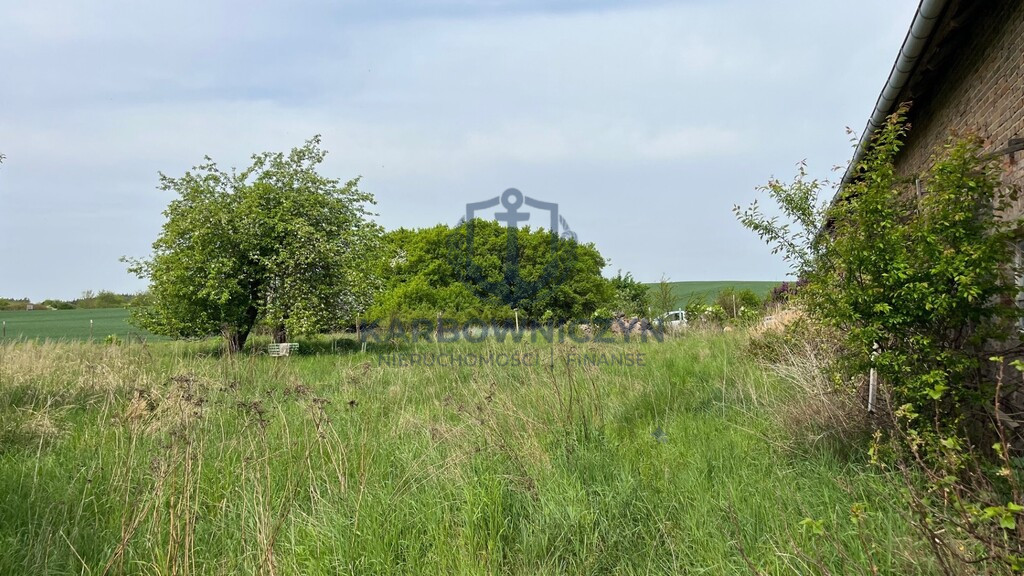 Działka Sprzedaż Plöwen, Löcknitz-Penkun, Vorpommern-Greifswald, Meklemburgia-Pomorze Przednie, 17322, Niemcy retziner weg 3