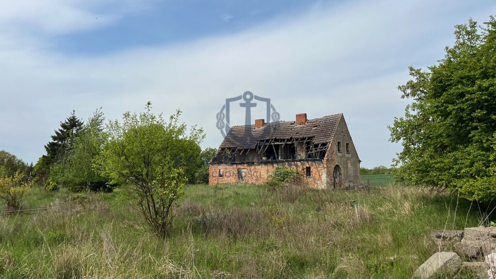Działka Sprzedaż Plöwen, Löcknitz-Penkun, Vorpommern-Greifswald, Meklemburgia-Pomorze Przednie, 17322, Niemcy retziner weg 13