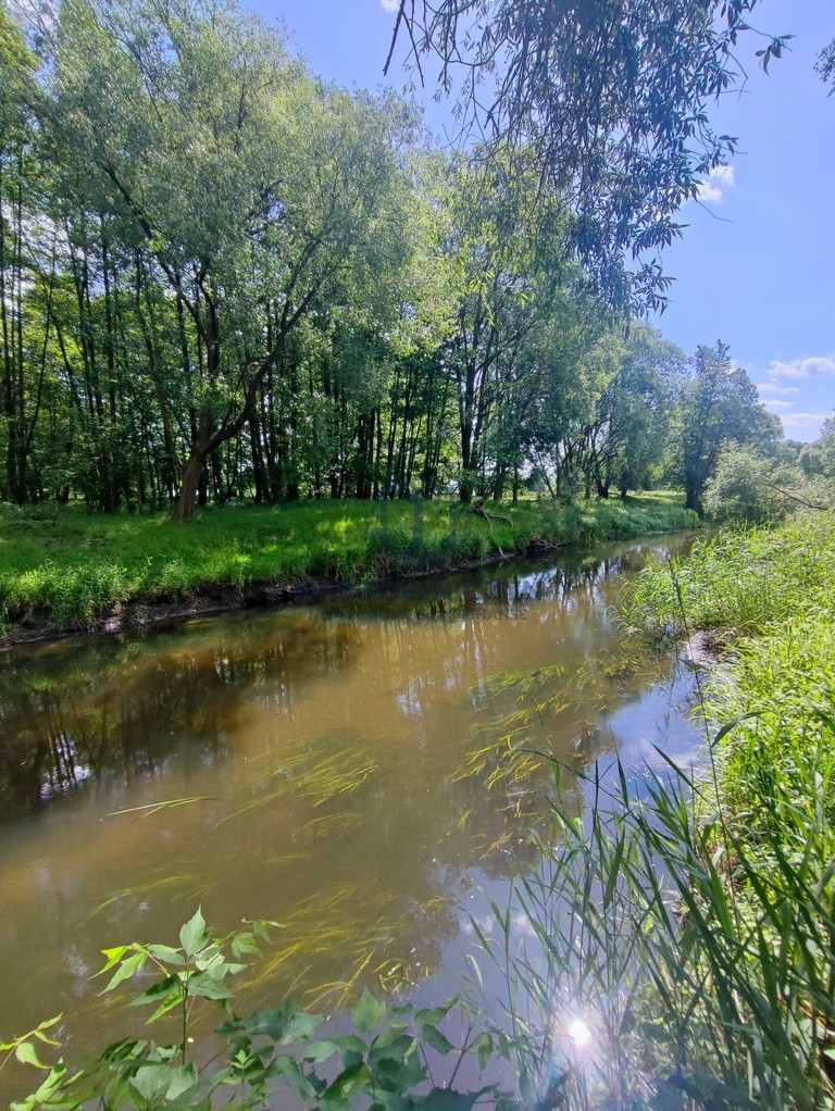 Działka Sprzedaż Żarowo 7