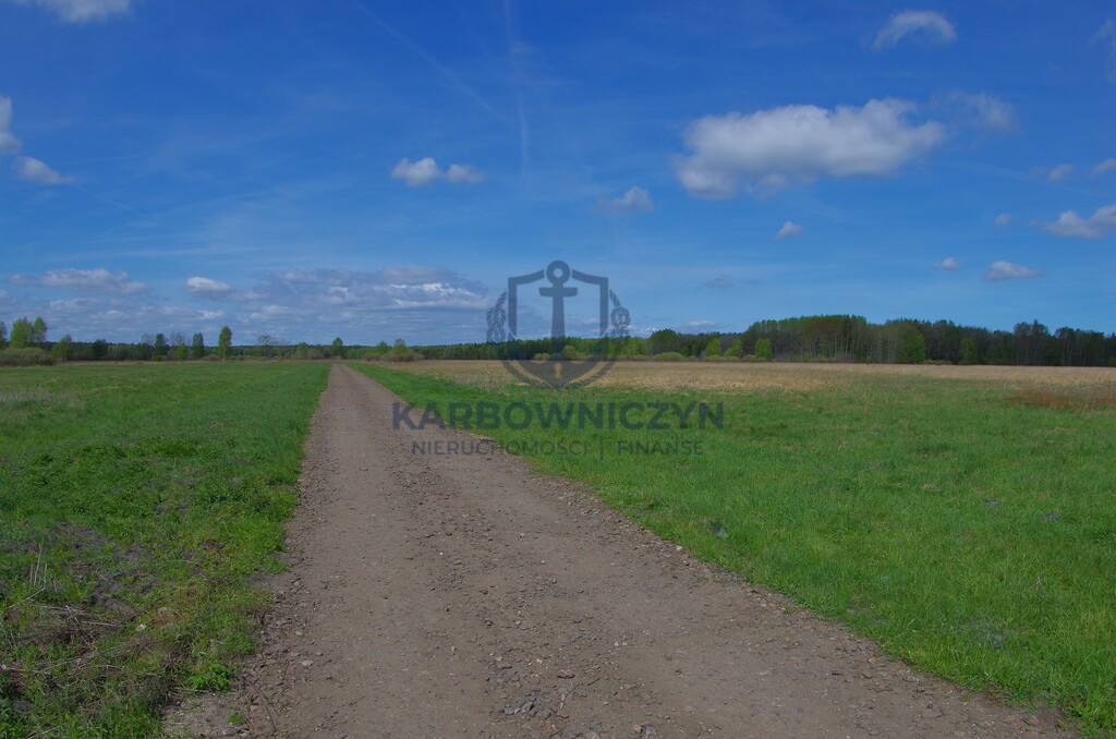 Działka Sprzedaż Niedźwiedź 8