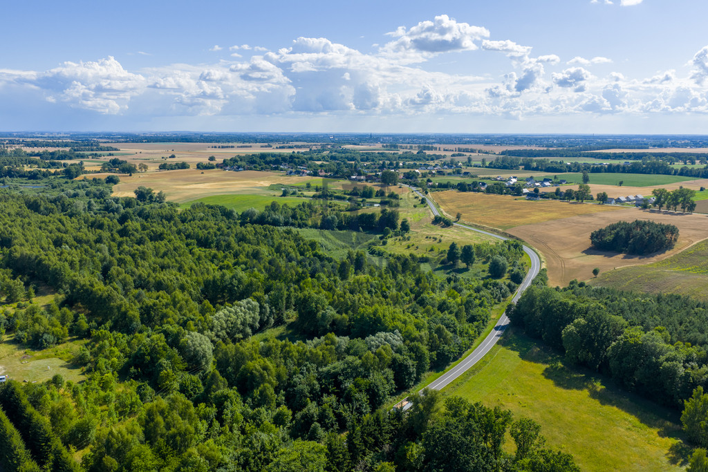 Działka Sprzedaż Grabowo 6