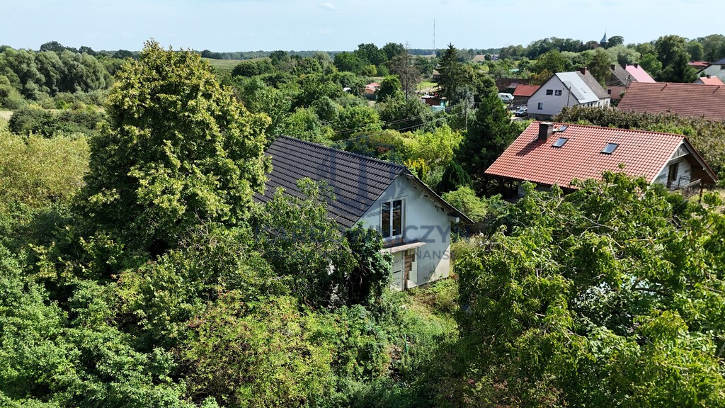 Dom Sprzedaż Gogolice 10