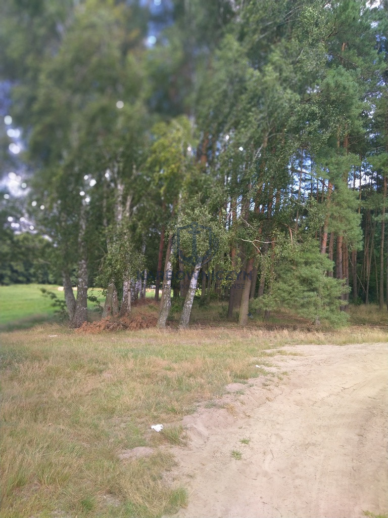 Działka Sprzedaż Tanowo Szczecińska 11