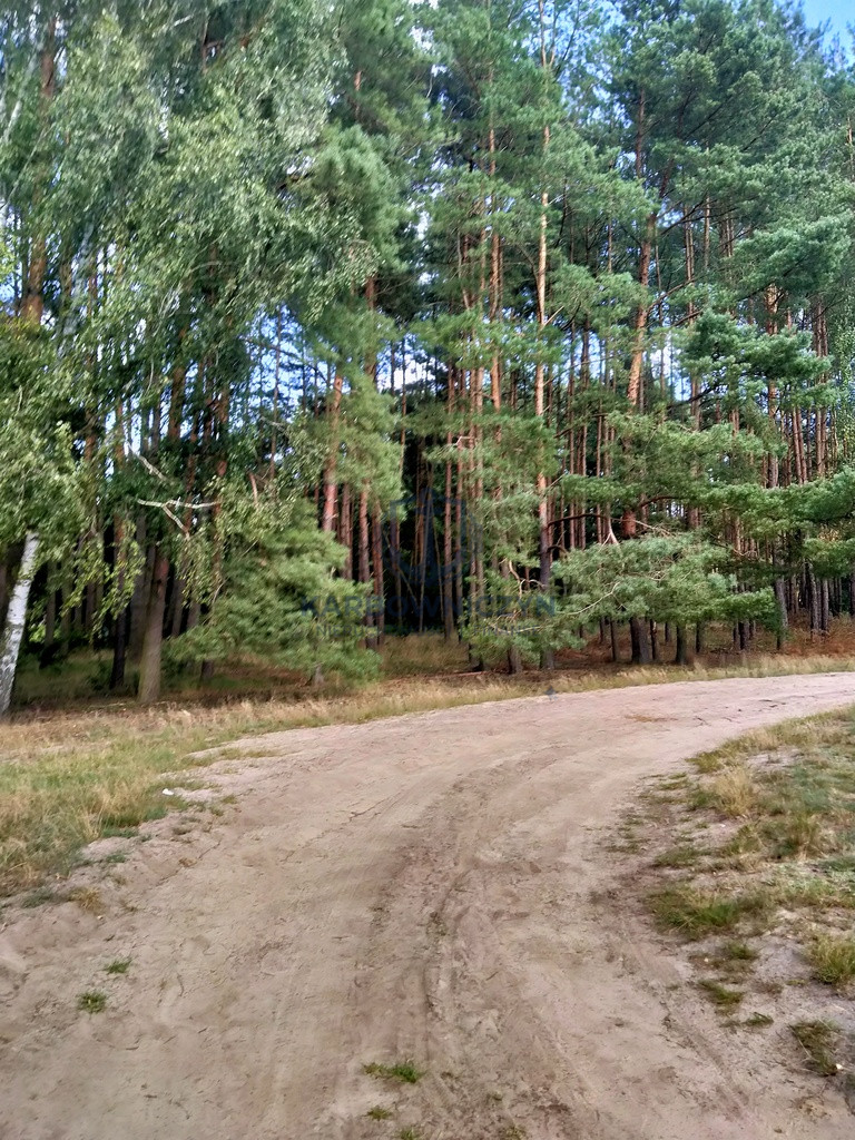 Działka Sprzedaż Tanowo Szczecińska 2
