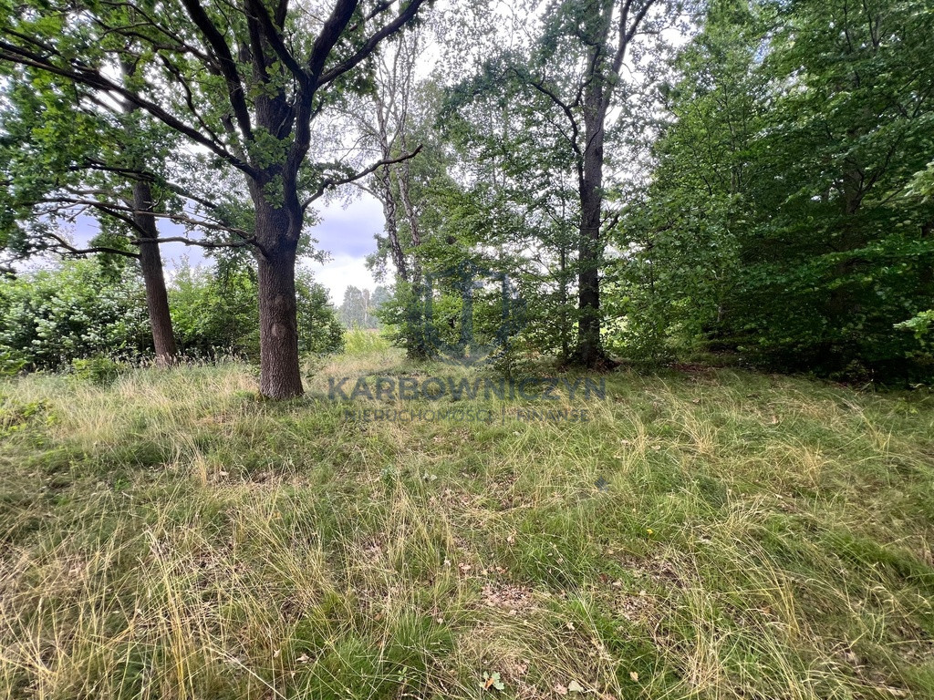 Działka Sprzedaż Storkowo