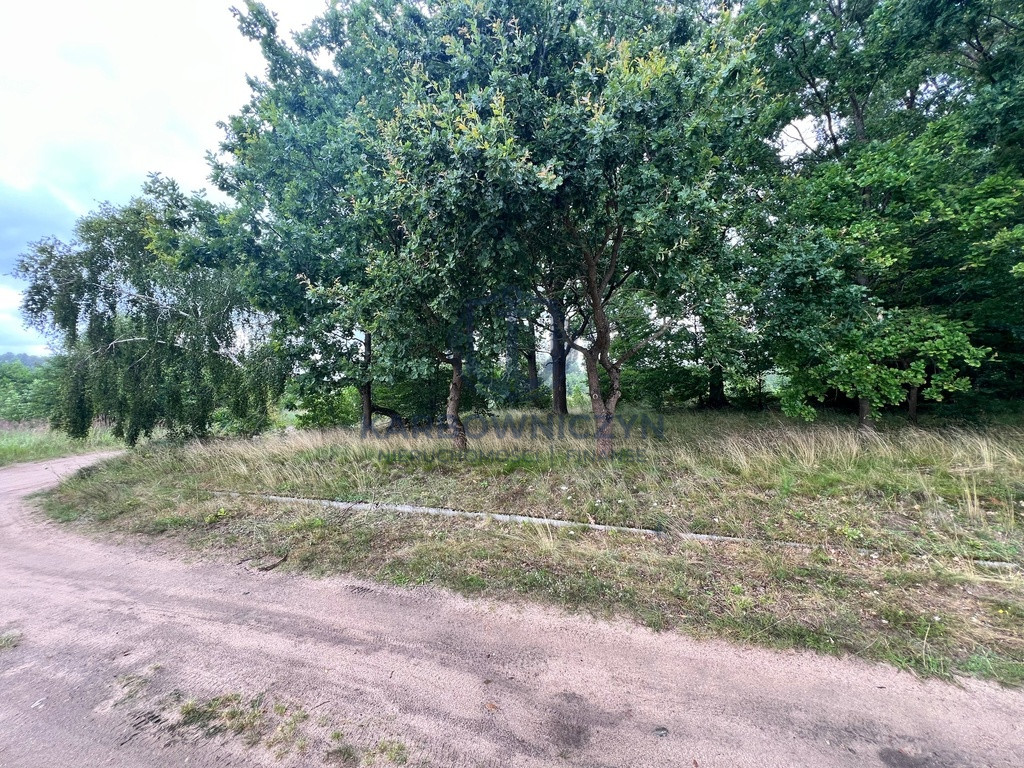 Działka Sprzedaż Storkowo
