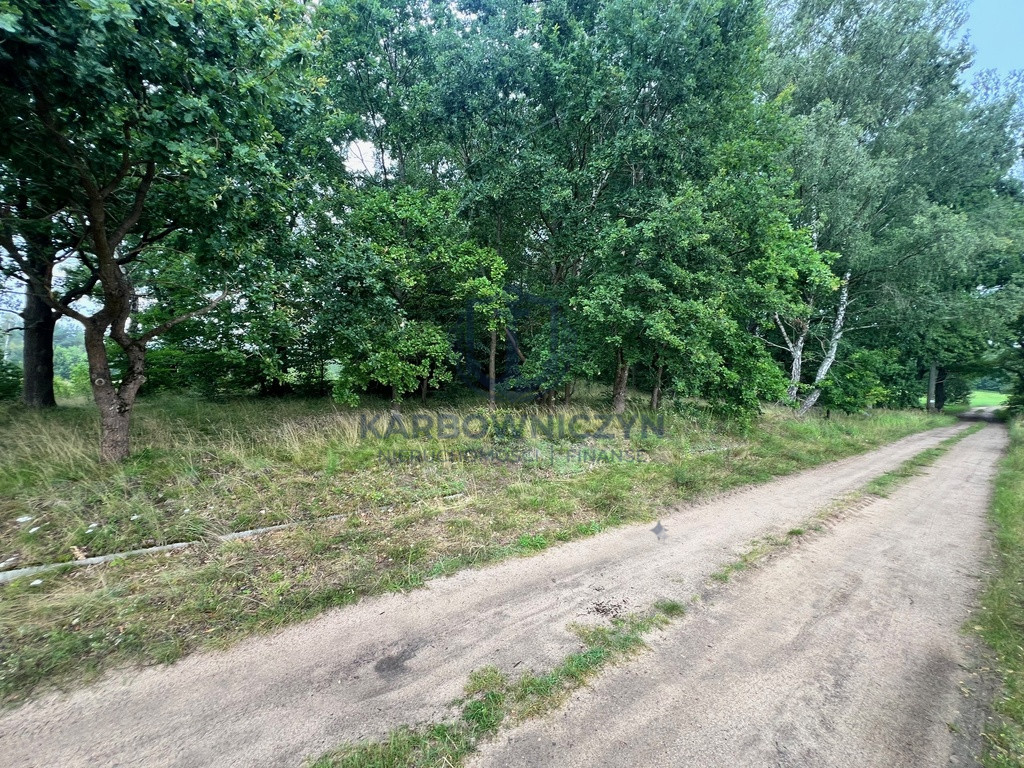 Działka Sprzedaż Storkowo 4