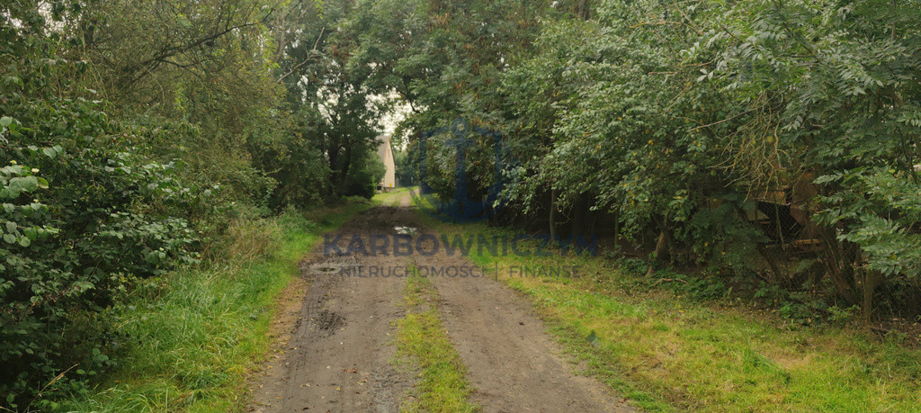 Działka Sprzedaż Barnisław 6