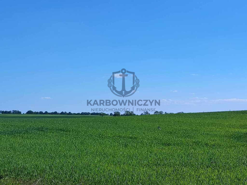 Działka Sprzedaż Grabowo 9