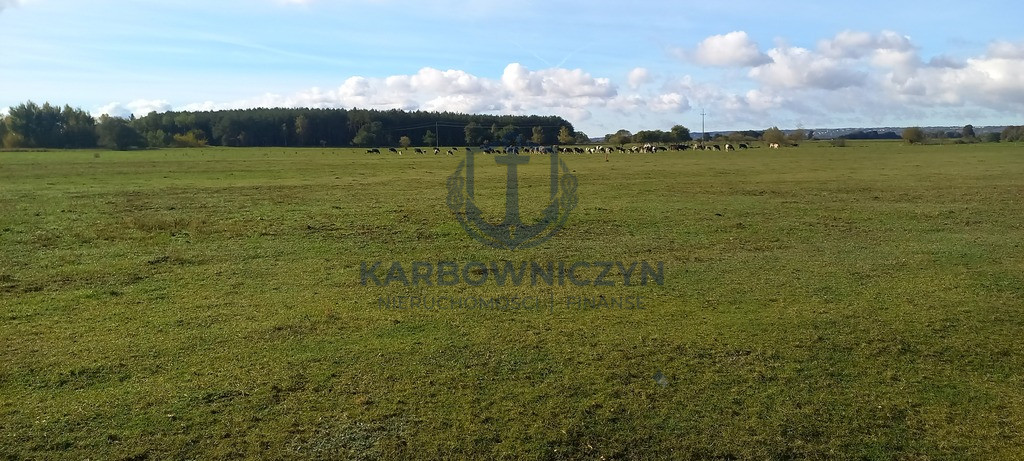 Działka Sprzedaż Borzysławiec 4