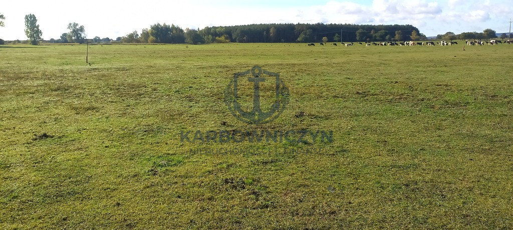 Działka Sprzedaż Borzysławiec 5
