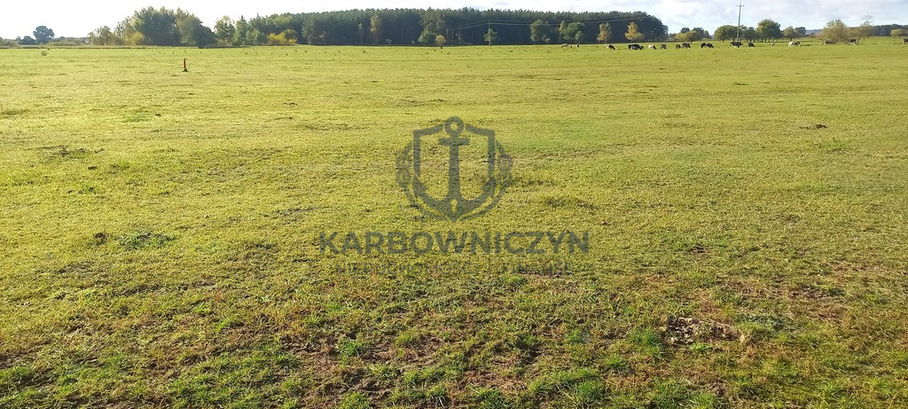 Działka Sprzedaż Borzysławiec 9