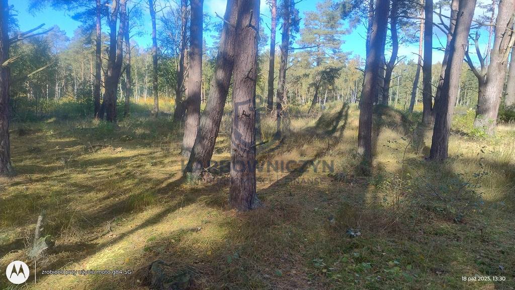 Działka Sprzedaż Dziwnów