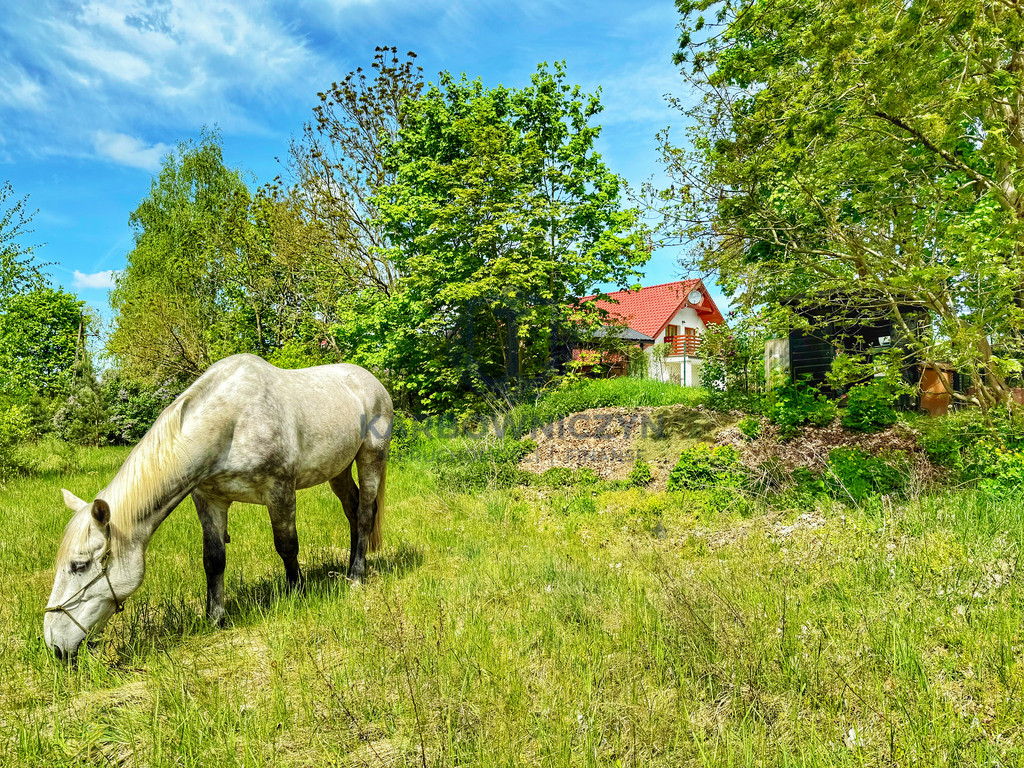 Dom Sprzedaż Trzeszczyn 40