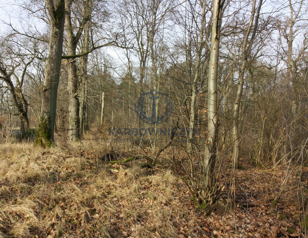 Obiekt Sprzedaż Storkowo 18