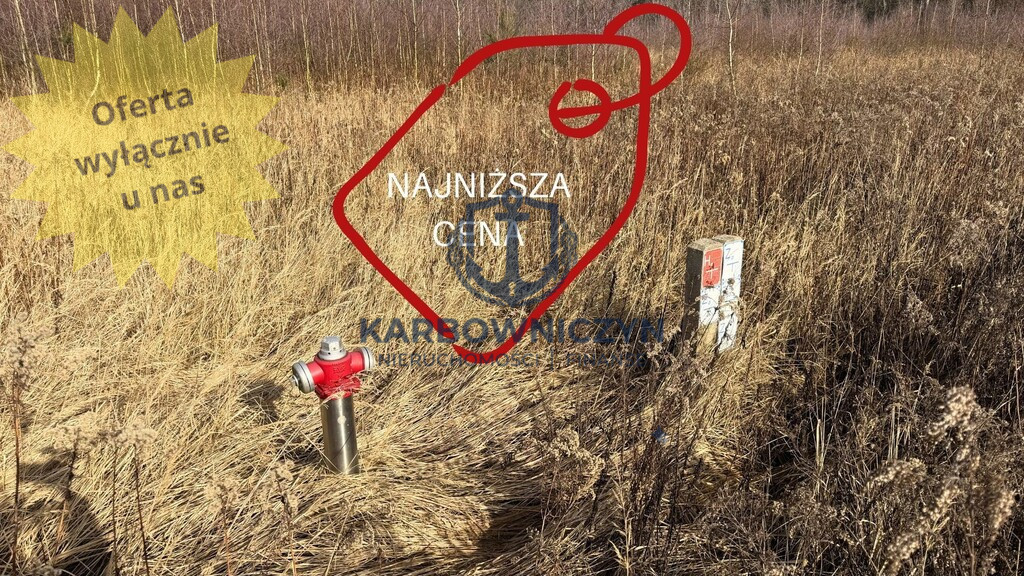 Działka Sprzedaż Żółwia Błoć 1