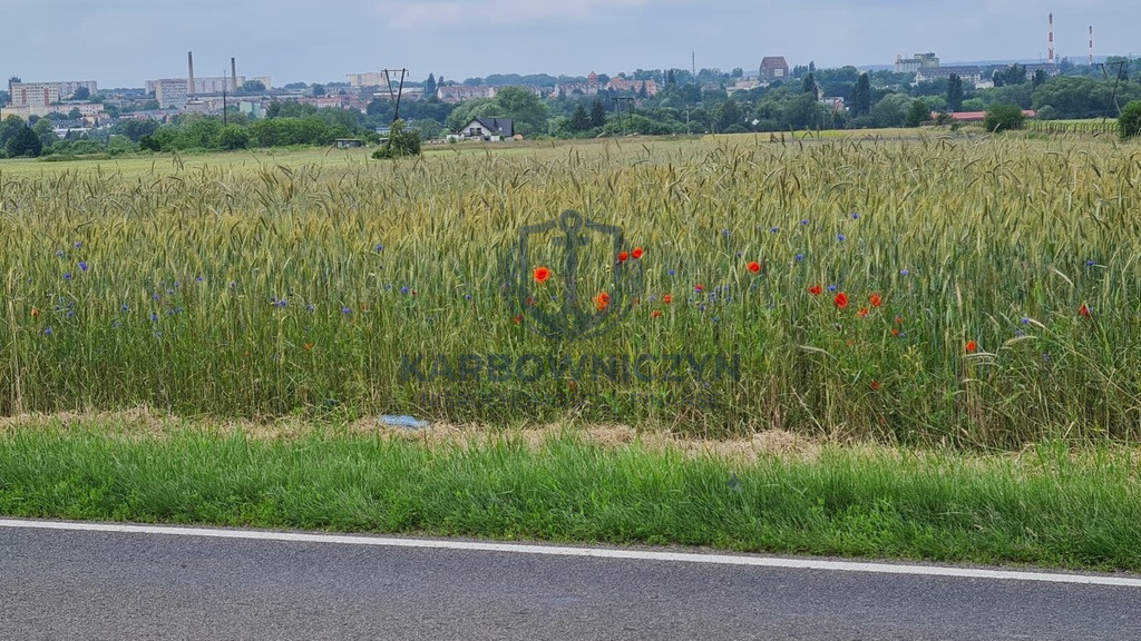 Działka Sprzedaż Stargard 4