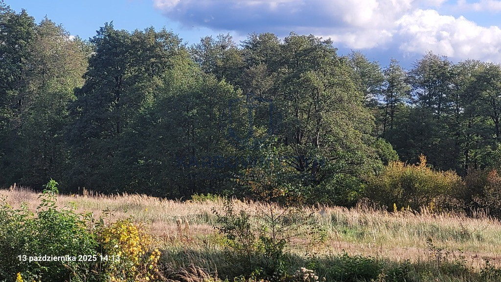Działka Sprzedaż Rajsko