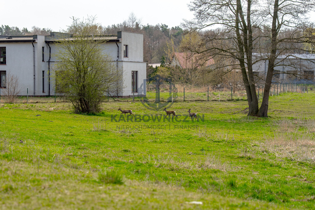Działka Sprzedaż Tanowo Dębowa 17