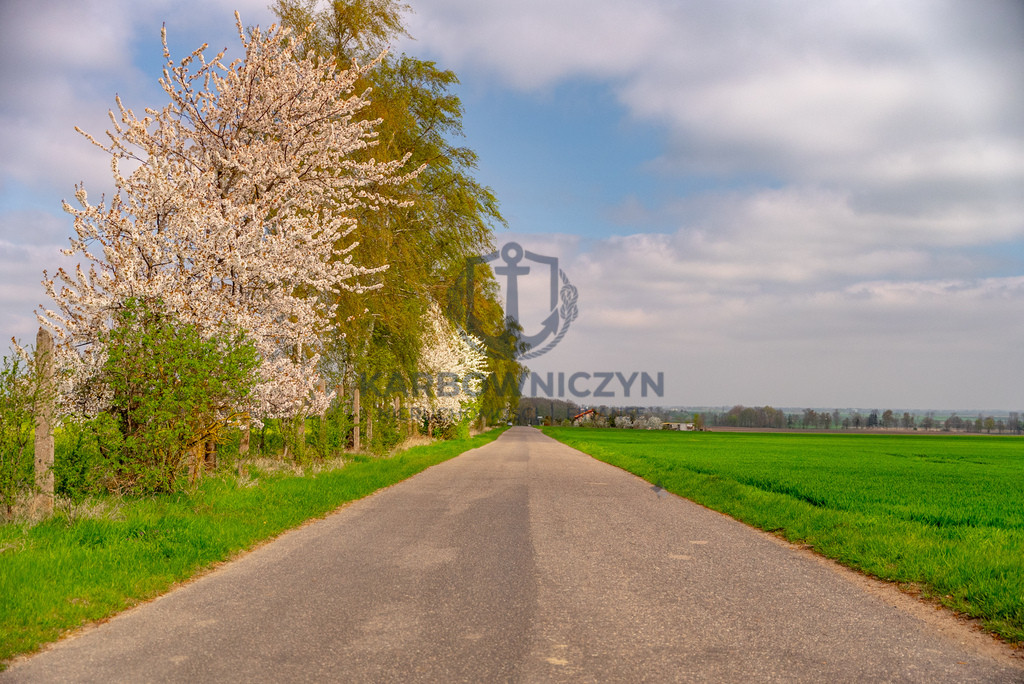 Działka Sprzedaż Pyrzyce 9