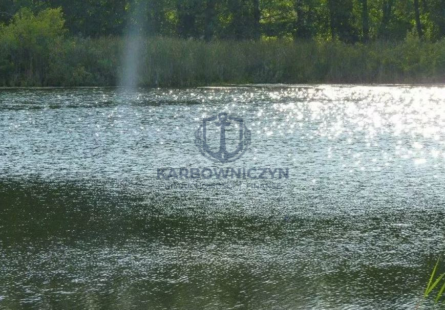 Działka Sprzedaż Zieleniewo 7