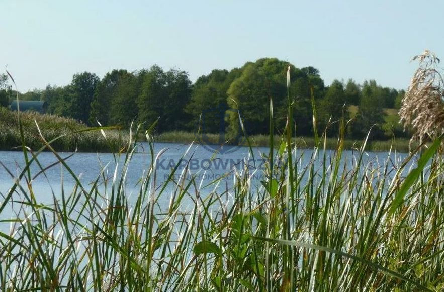 Działka Sprzedaż Zieleniewo 6