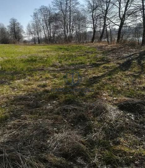 Działka Sprzedaż Kaszewo 6