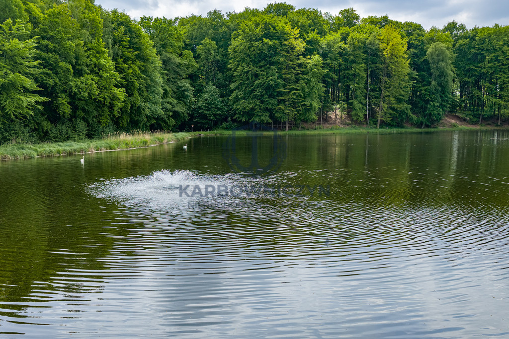 Działka Sprzedaż Wisławie