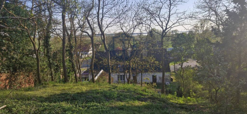 Dom Sprzedaż Skoszewo 7