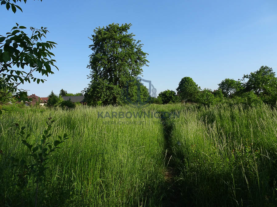 Działka Sprzedaż Binowo