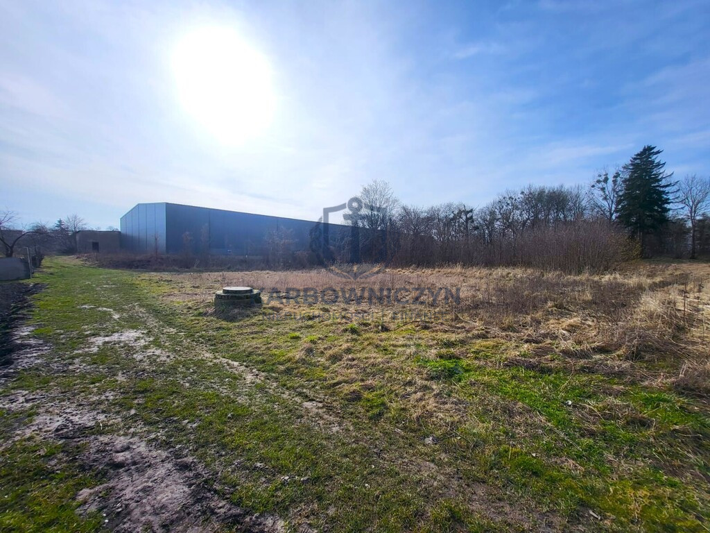 Działka Sprzedaż Koszewo