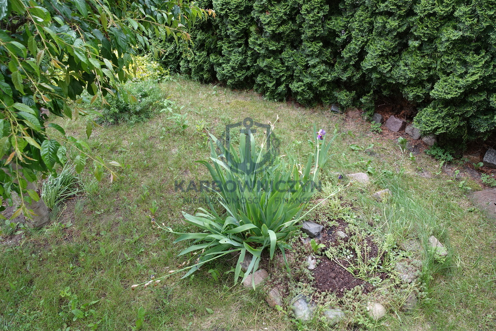 Mieszkanie Wynajem Warzymice 20