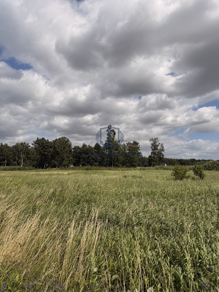Działka Sprzedaż Niedźwiedź 8