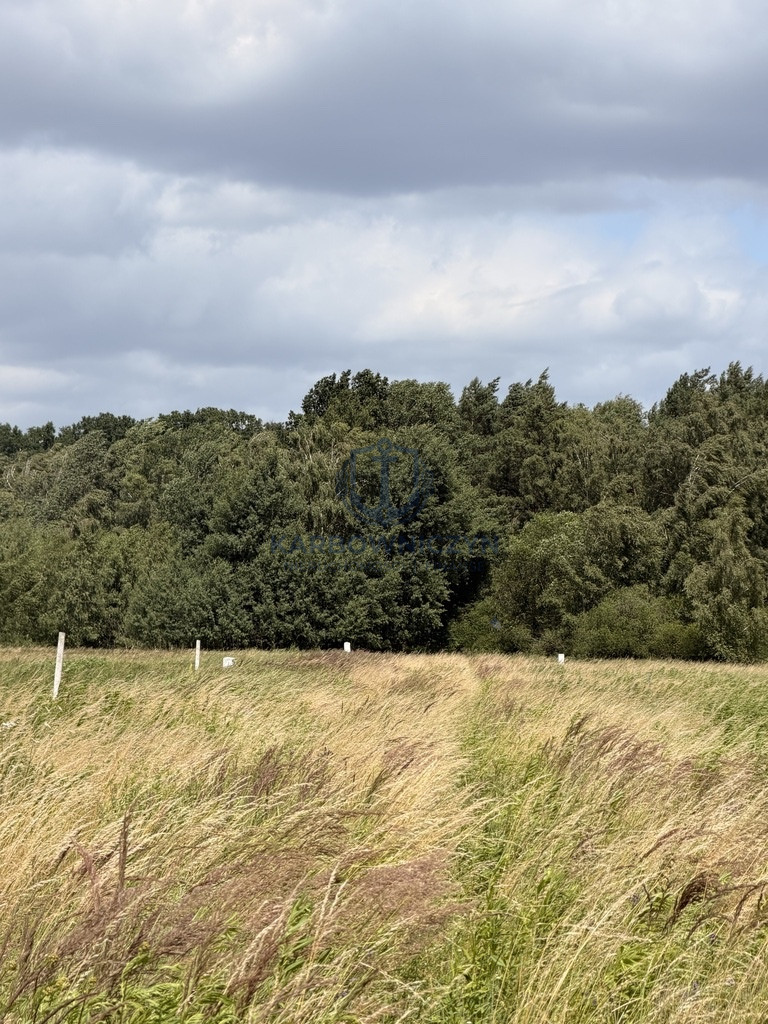 Działka Sprzedaż Niedźwiedź 5