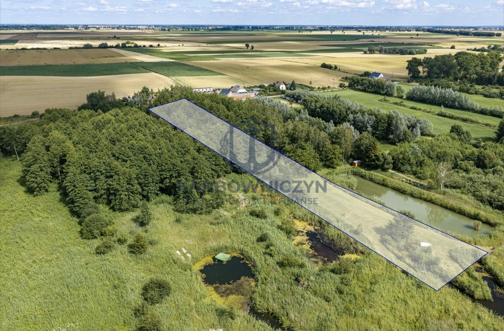 Działka Sprzedaż Wierzbno
