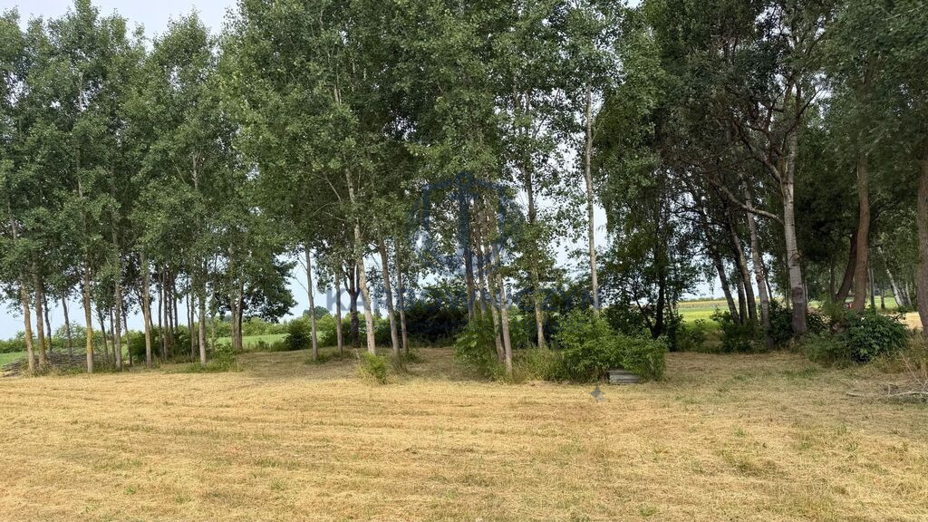 Działka Sprzedaż Marszewo
