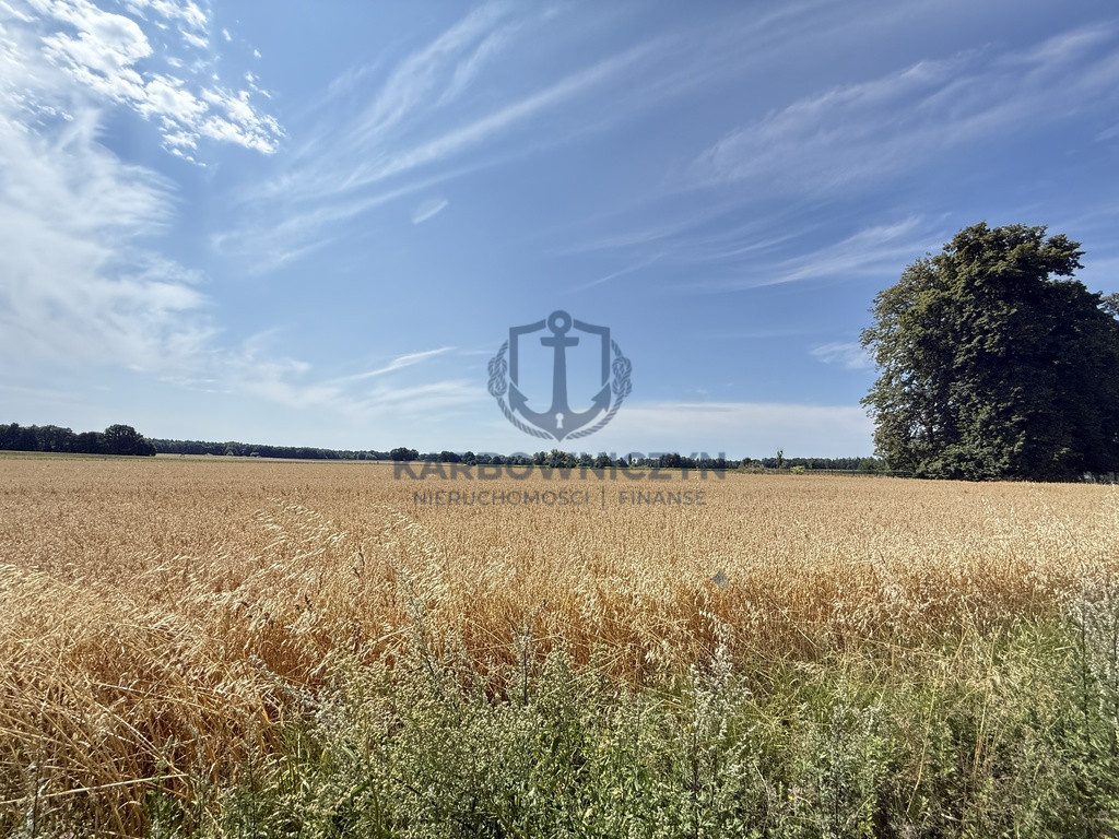 Działka Sprzedaż Oświno 18
