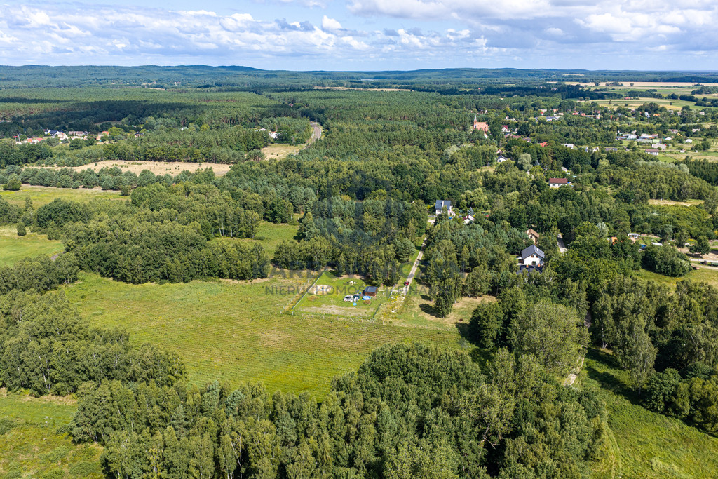 Działka Sprzedaż Ładzin