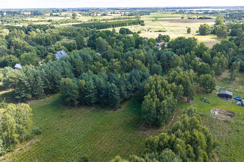 Działka Sprzedaż Ładzin 17